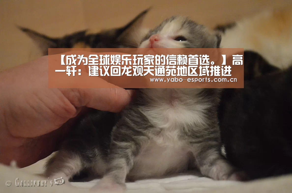 成为全球娱乐玩家的信赖首选。