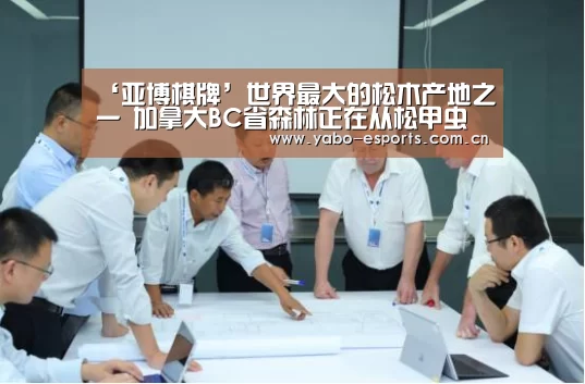 成为全球娱乐玩家的信赖首选。