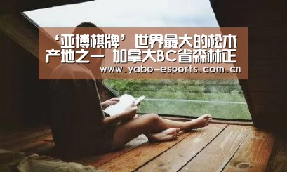 亚博棋牌