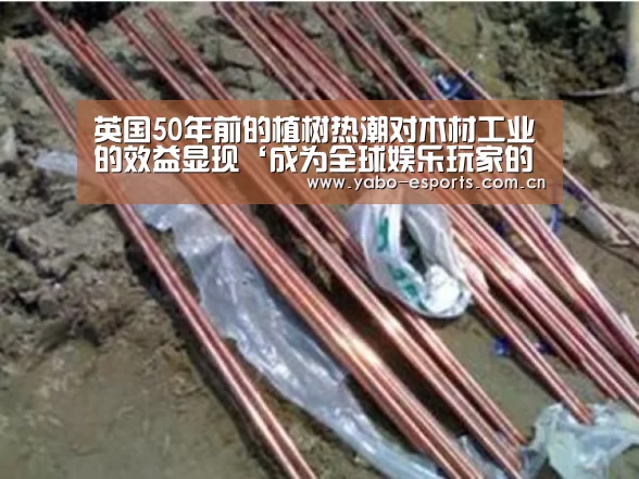 成为全球娱乐玩家的信赖首选。