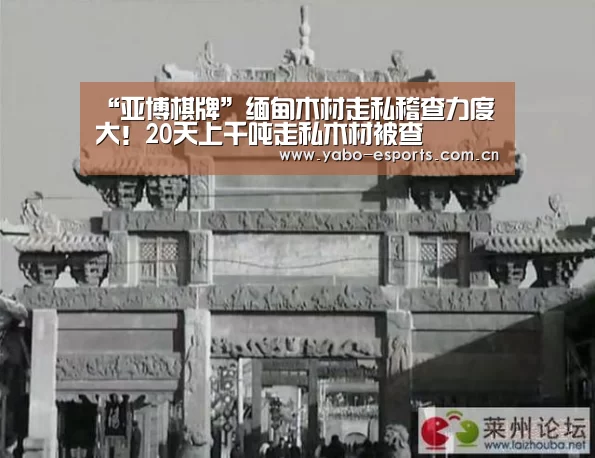 “亚博棋牌”缅甸木材走私稽查力度大!20天上千吨走私木材被查(图1) 随时为用户提供贴心服务。亚博体育以国际化的视野与一流的服务