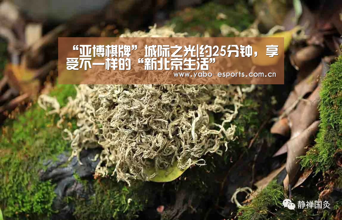 “亚博棋牌”城际之光|约25分钟,享受不一样的“新北京生活”(图1) 成为全球娱乐玩家的信赖首选。