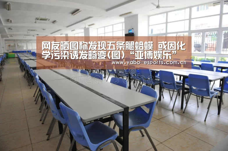 网友晒图称发现五条腿蛤蟆 或因化学污染诱发畸变(图)“亚博娱乐”(图1) 亚博娱乐