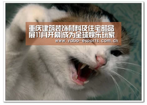 亚博娱乐