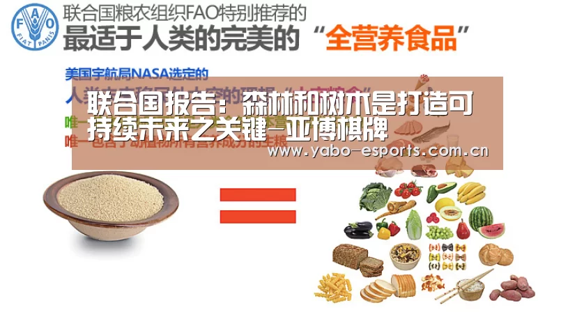 联合国报告:森林和树木是打造可持续未来之关键-亚博棋牌(图1) 成为全球娱乐玩家的信赖首选。