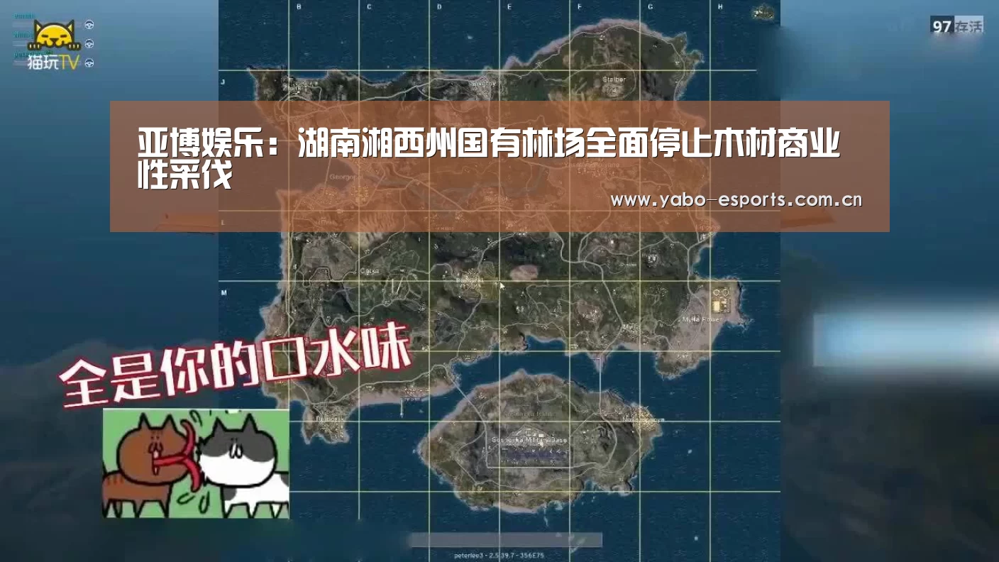 亚博娱乐:湖南湘西州国有林场全面停止木材商业性采伐(图3) 亚博娱乐