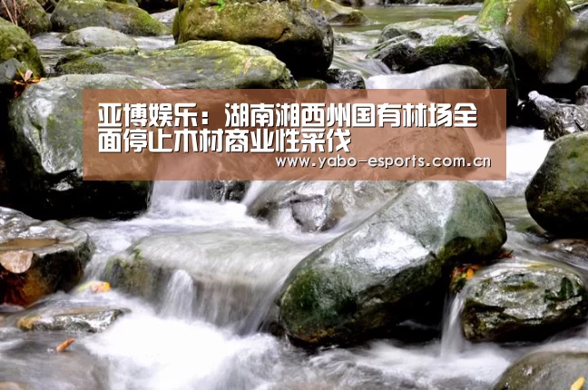亚博娱乐:湖南湘西州国有林场全面停止木材商业性采伐(图1) 亚博娱乐